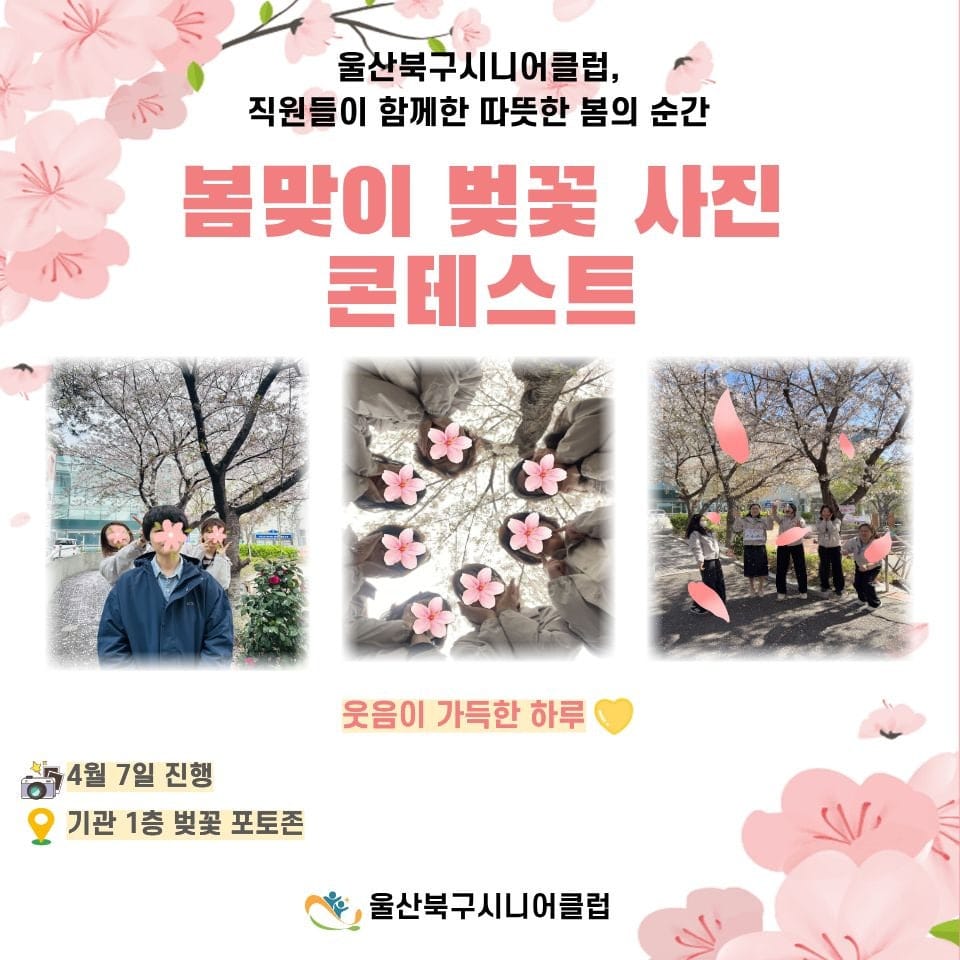 🌸봄을 담다, 벚꽃 사진 콘테스트 진행!🌸