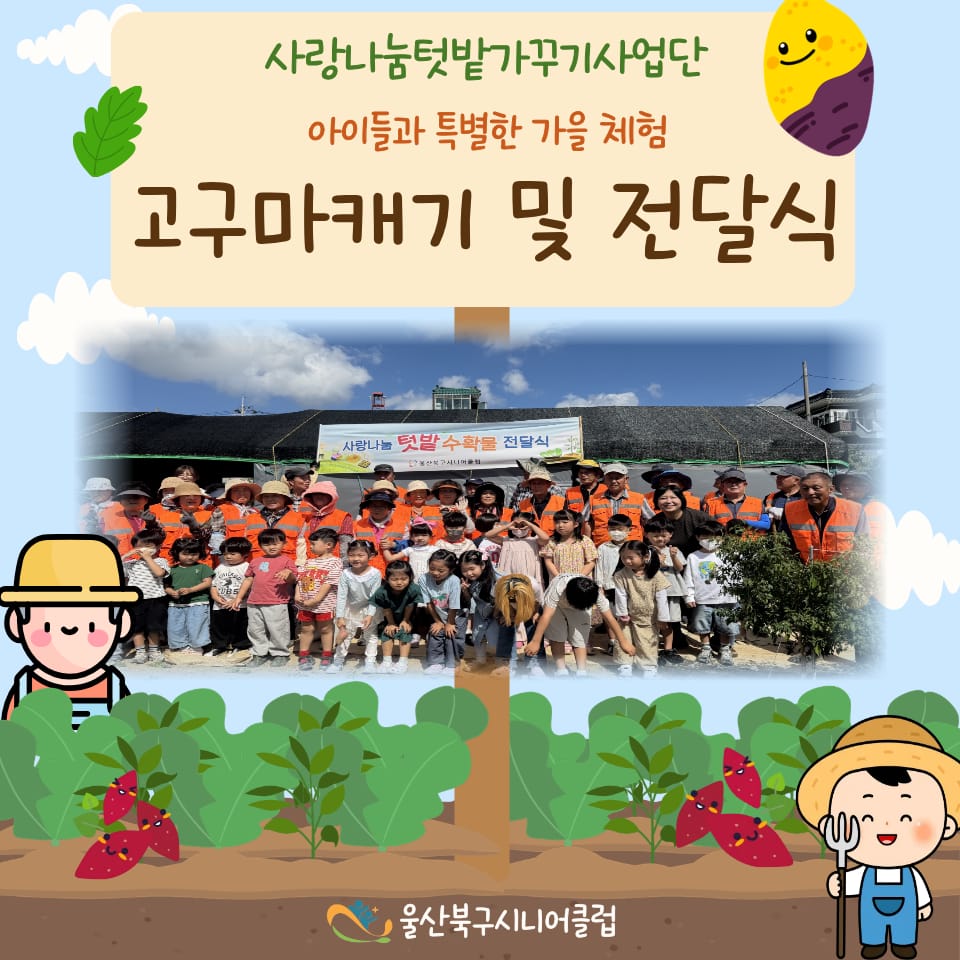 🌱사랑나눔텃밭가꾸기 고구마 캐기 체험🍠